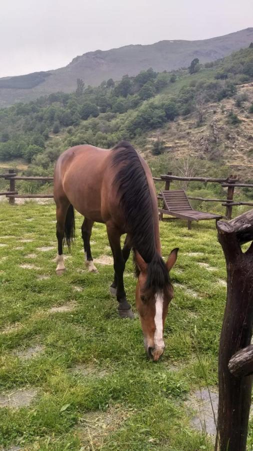 Casa Rural Cortijo Molino Altero Тревелес Экстерьер фото