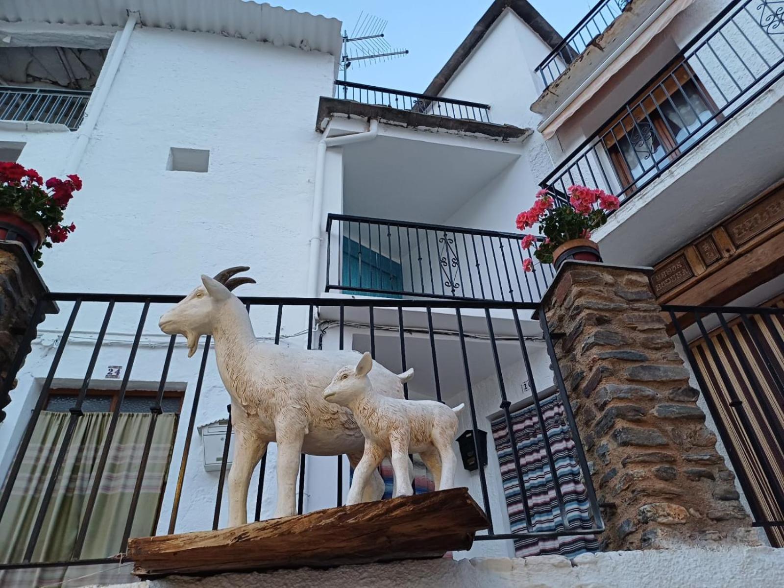 Casa Rural Cortijo Molino Altero Тревелес Экстерьер фото