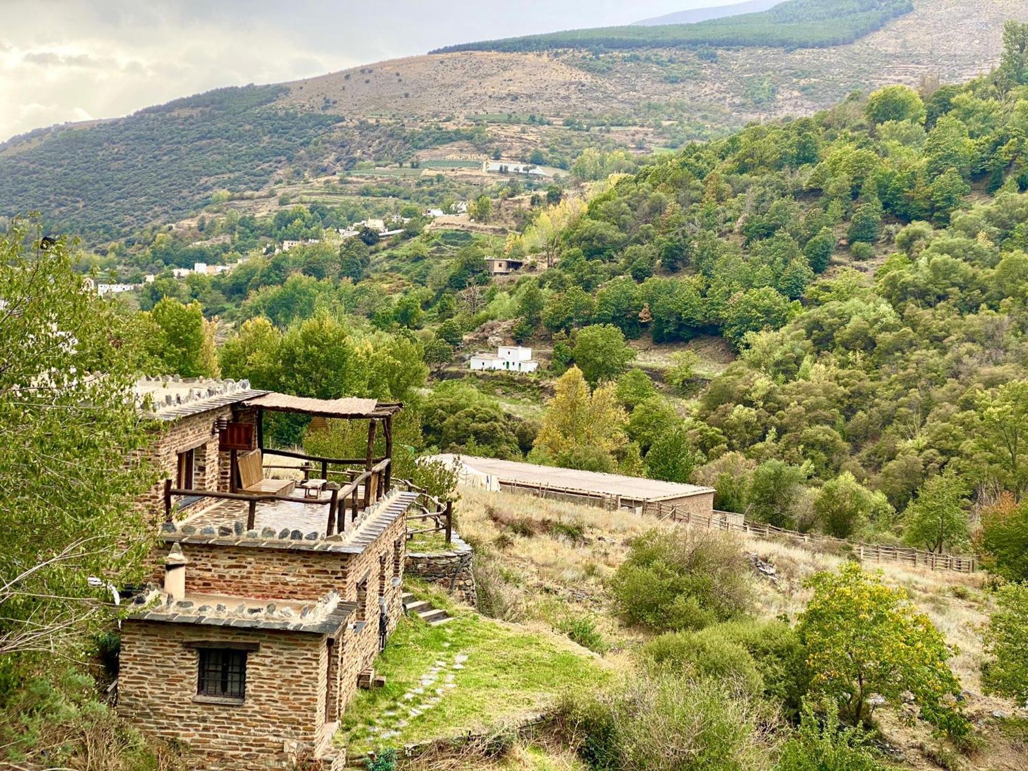 Casa Rural Cortijo Molino Altero Тревелес Экстерьер фото