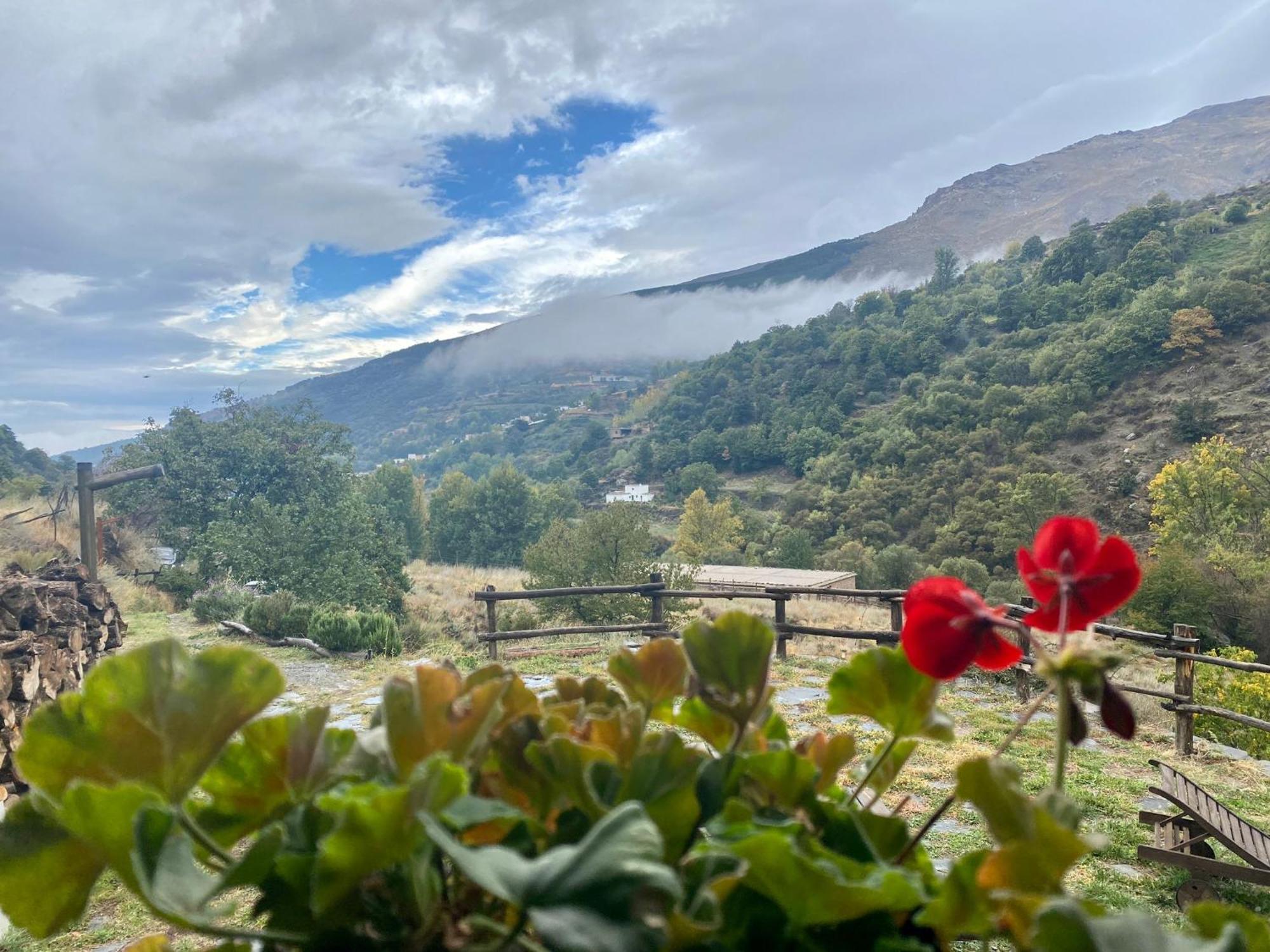 Casa Rural Cortijo Molino Altero Тревелес Экстерьер фото