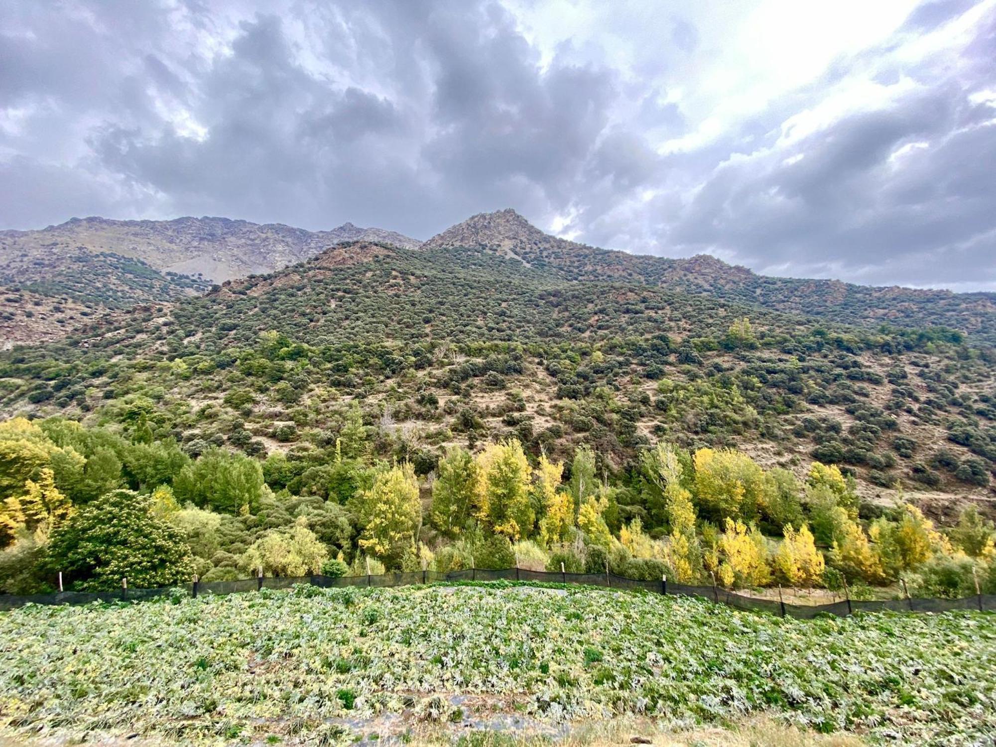 Casa Rural Cortijo Molino Altero Тревелес Экстерьер фото