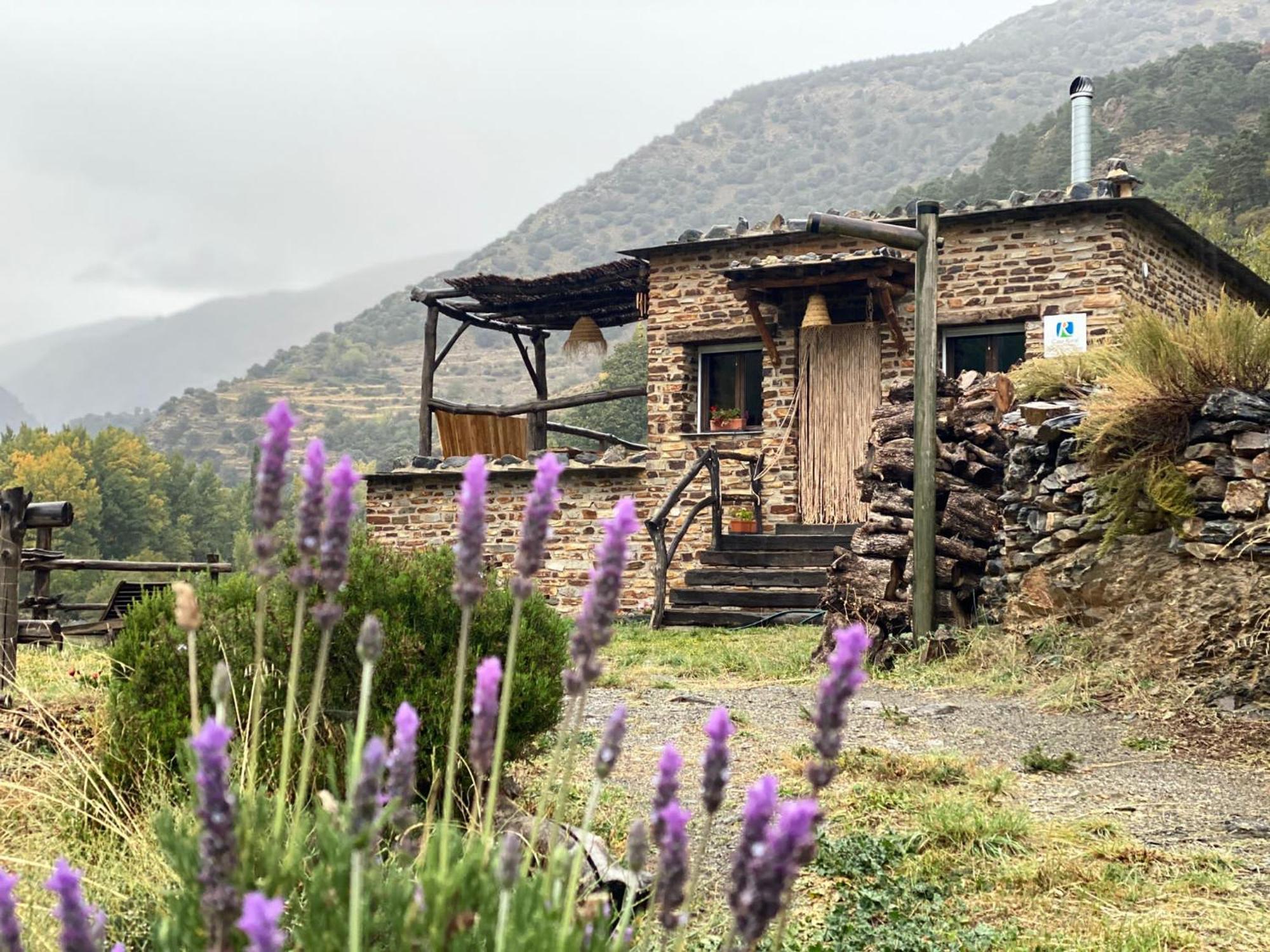 Casa Rural Cortijo Molino Altero Тревелес Экстерьер фото